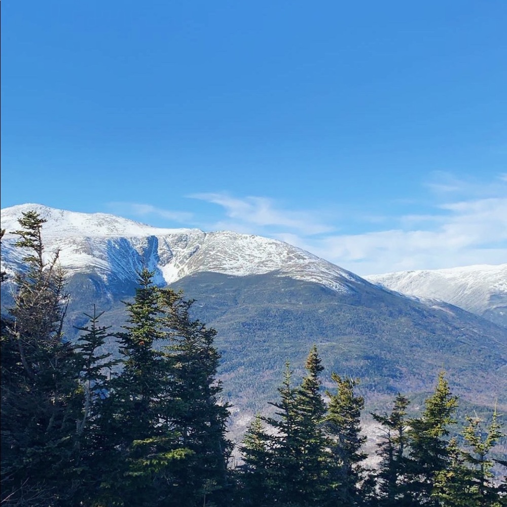 Meet your Posher, Sasha